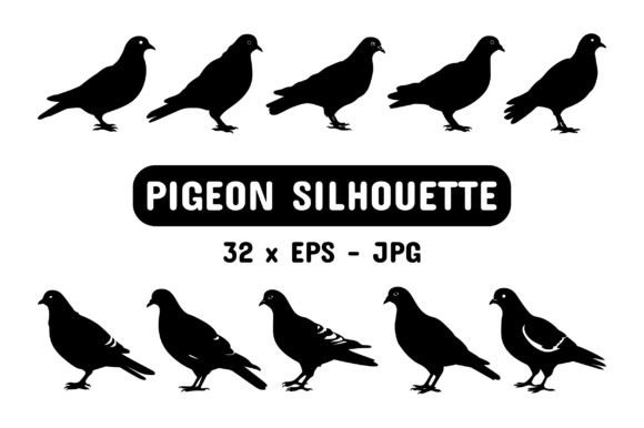 Download Pigeon Silhouette Set Collection Bundle - Set collection bundle Collection